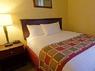Best Western Plus Ticonderoga Habitación foto